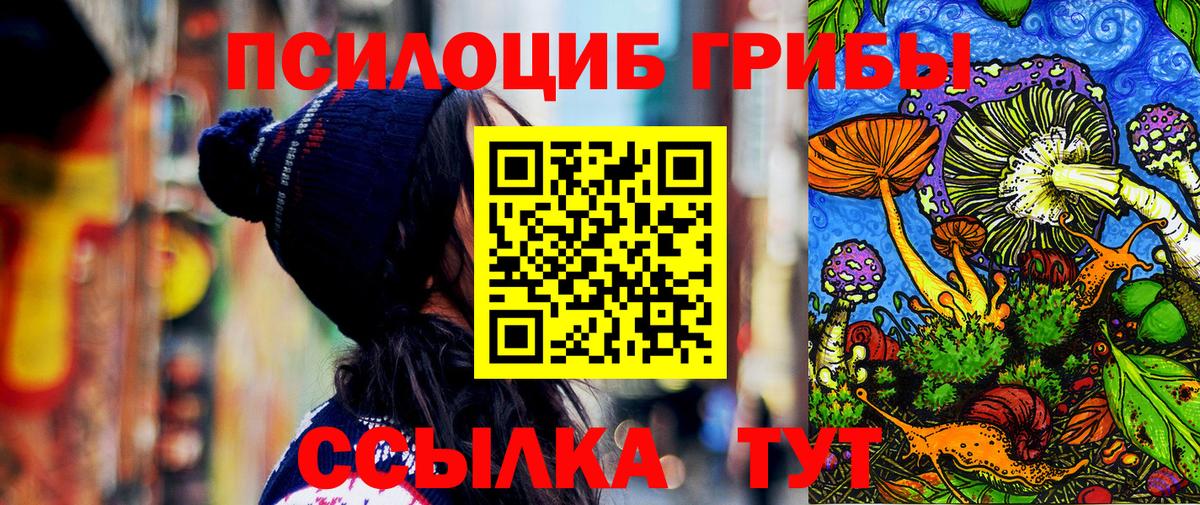 Псилоцибиновые грибы GOLDEN TEACHER Лысьва
